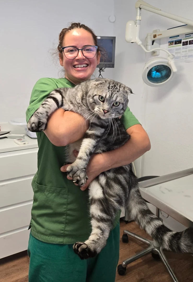 Eröffnungsfeier Gast